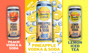 Beachin' Pineapple Website Graphic 4