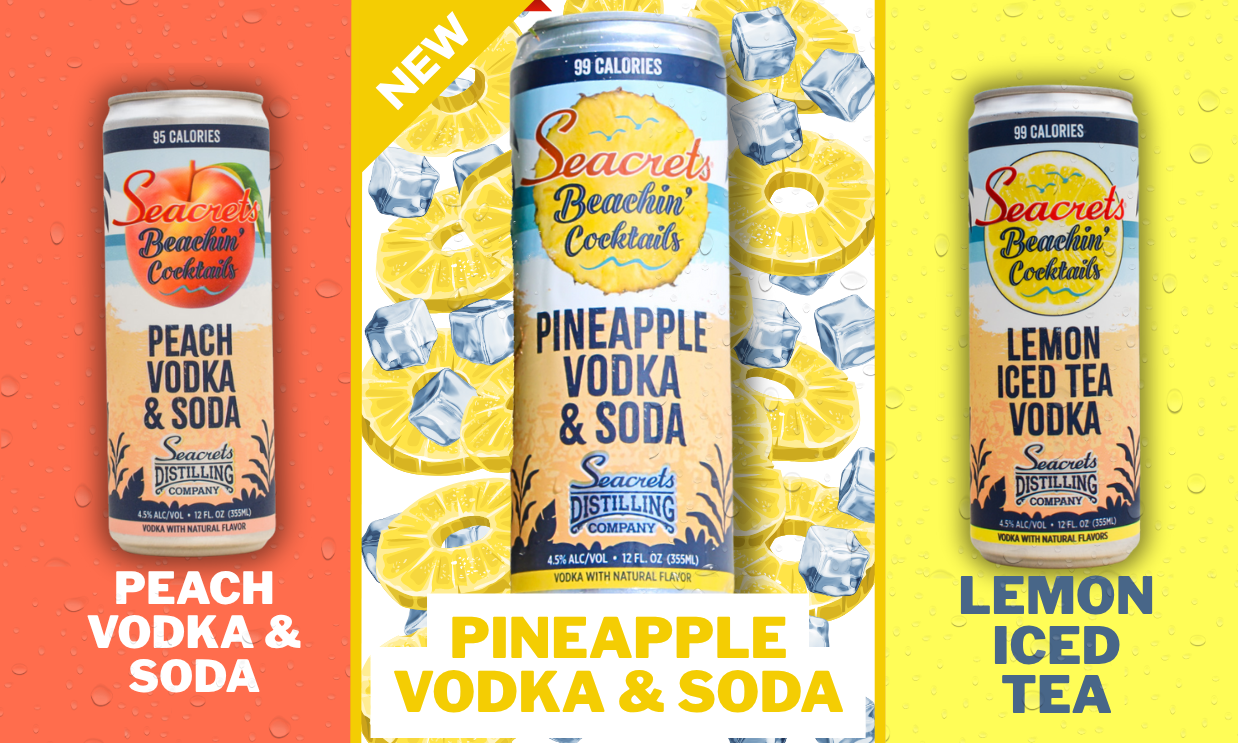 Beachin' Pineapple Website Graphic 4 Beachin' Pineapple Website Graphic 4